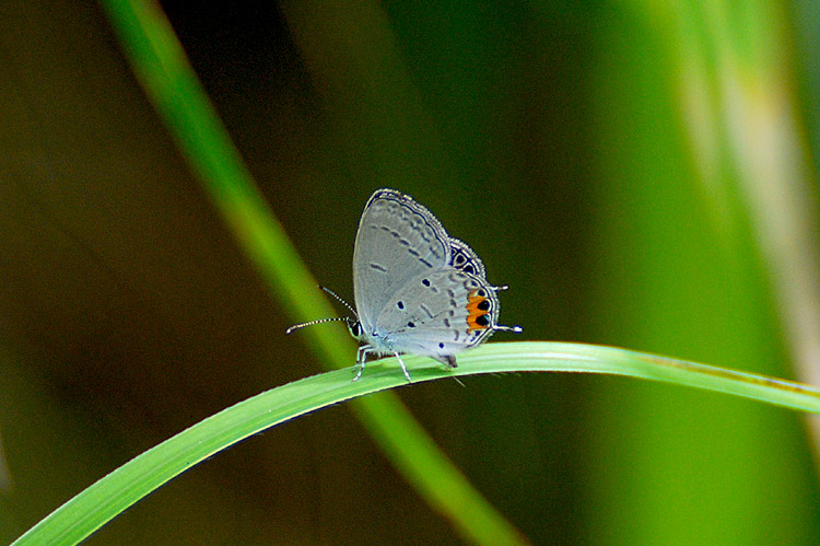 2007.9.22南さつま市大浦町